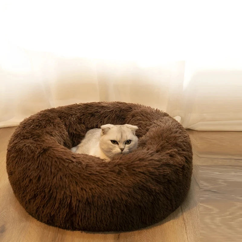 Cozy Donut